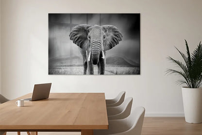 Design Glassboards